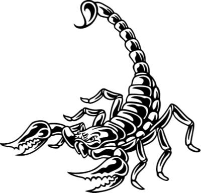 Scorpion clipart #15, Download drawings