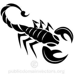 Scorpion clipart #20, Download drawings