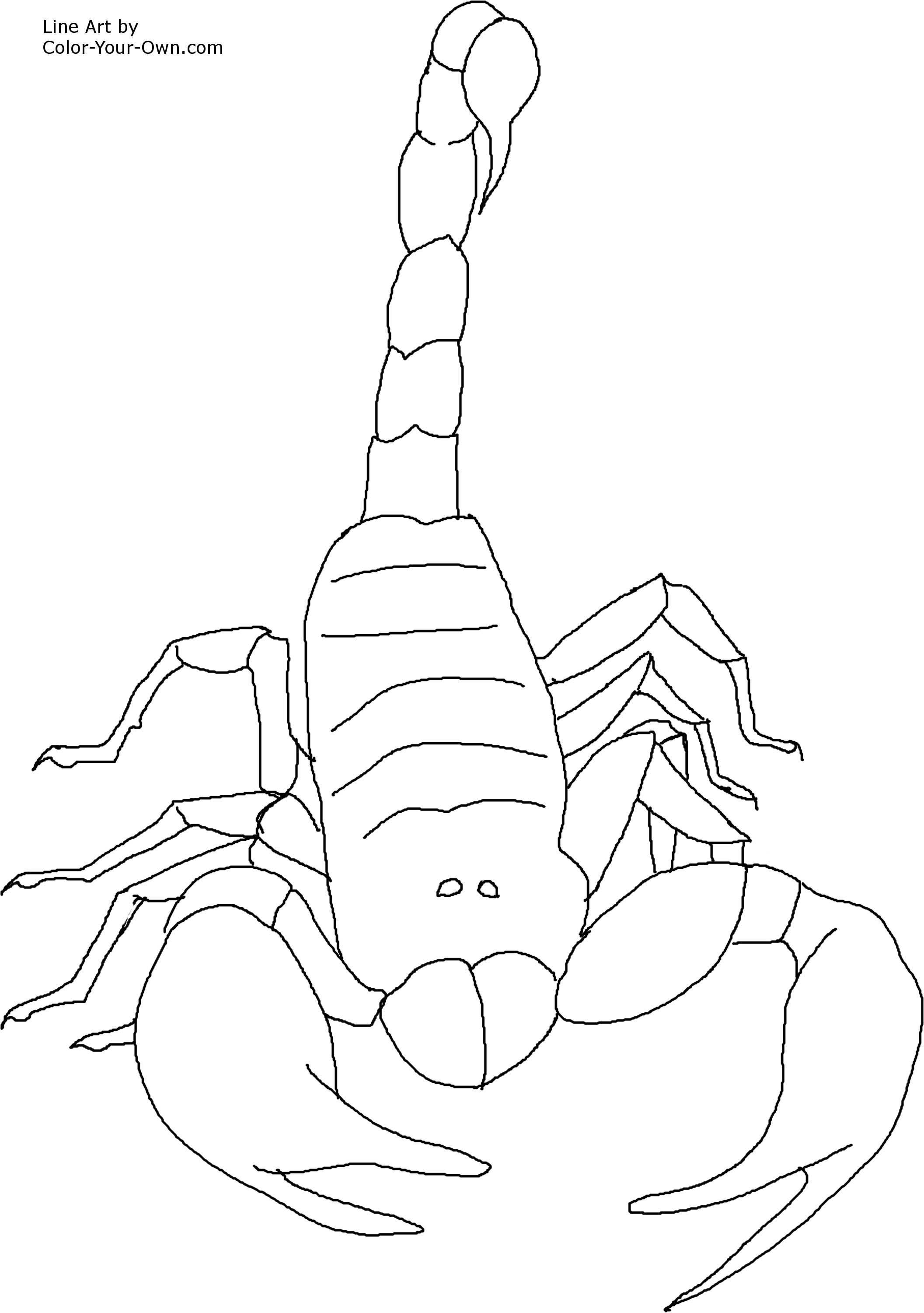 Scorpion coloring #6, Download drawings