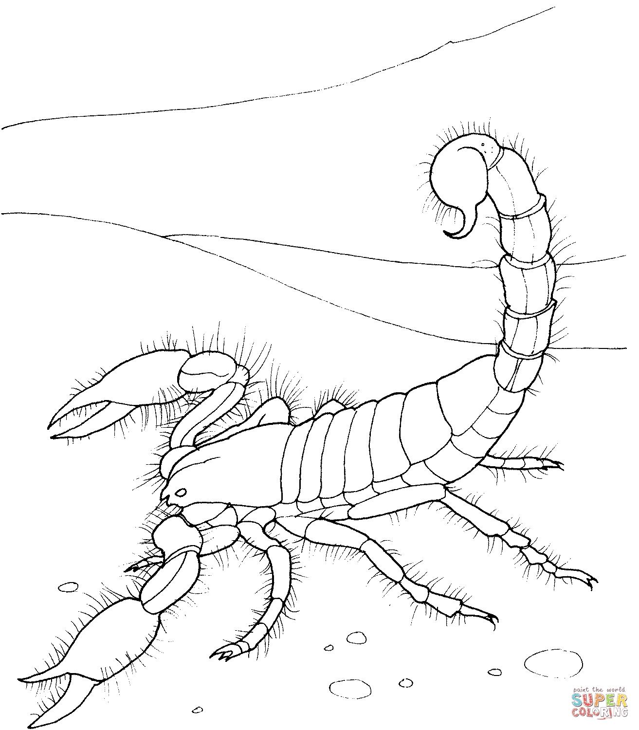 Scorpion coloring #8, Download drawings