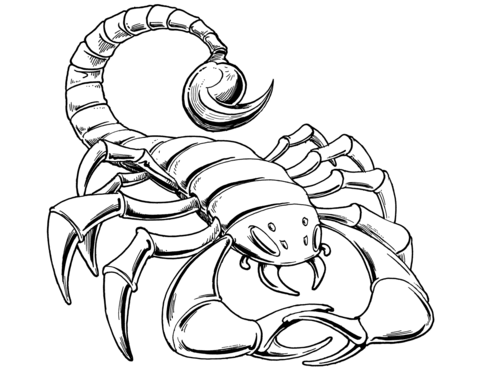 Scorpion coloring #15, Download drawings
