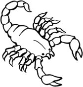 Scorpion coloring #17, Download drawings