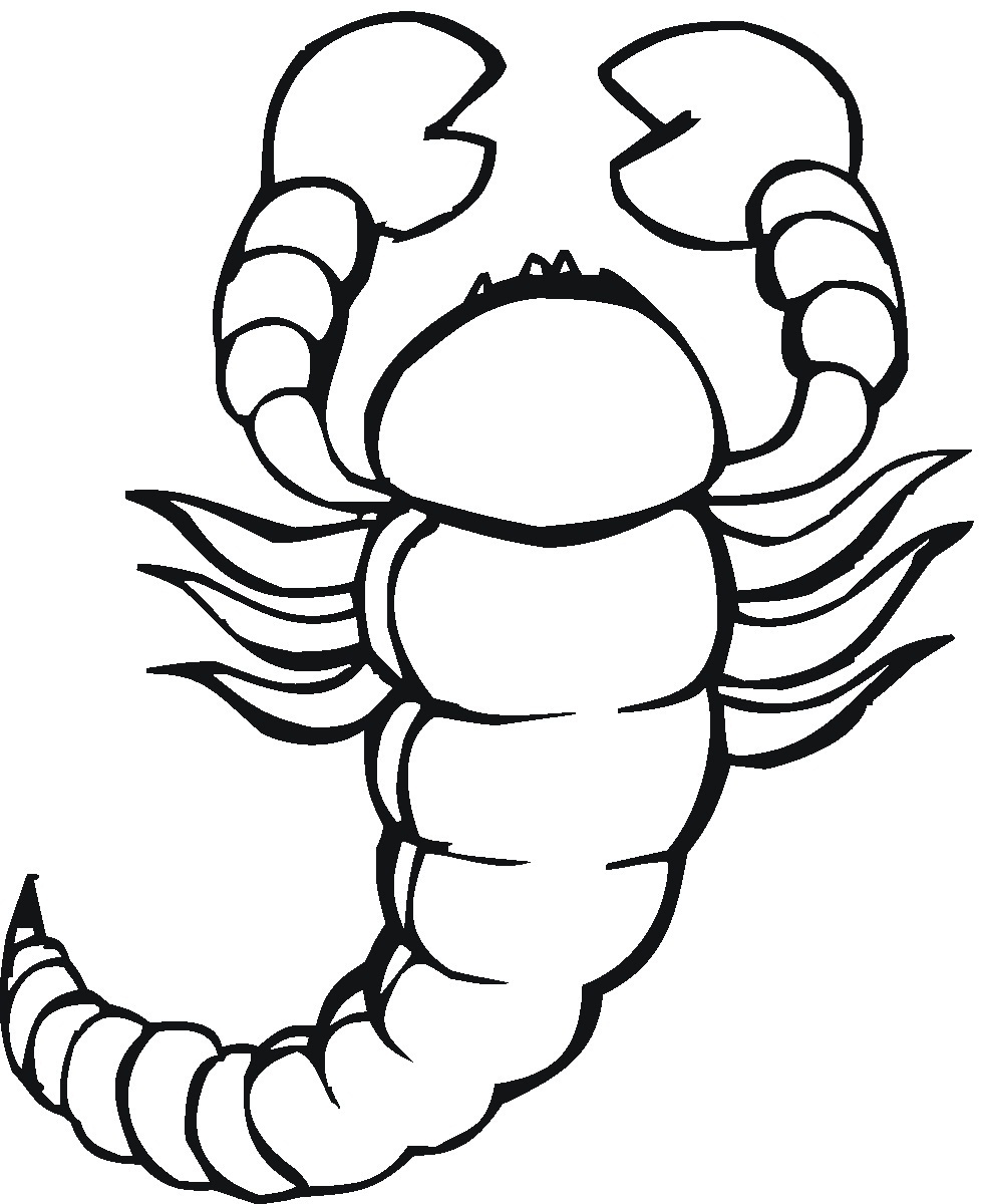 Scorpion coloring #19, Download drawings