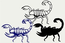 Scorpion svg #2, Download drawings