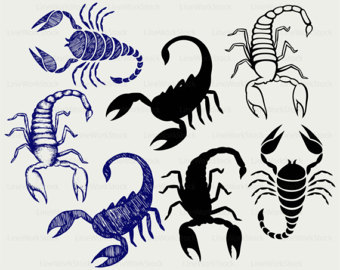 Scorpion svg #14, Download drawings