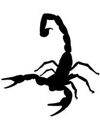 Scorpion svg #17, Download drawings