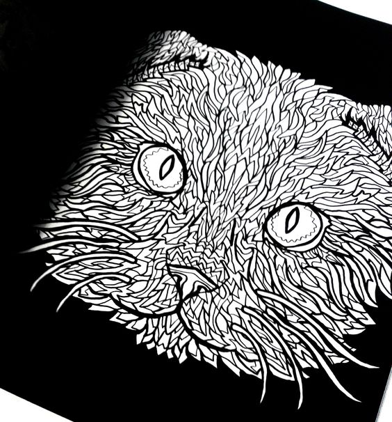 Scottish Fold coloring #9, Download drawings