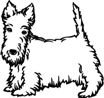 Scottish Terrier  coloring #6, Download drawings