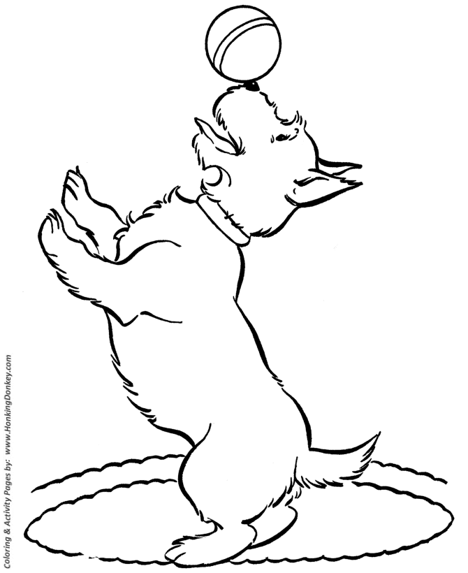 Scottish Terrier  coloring #8, Download drawings