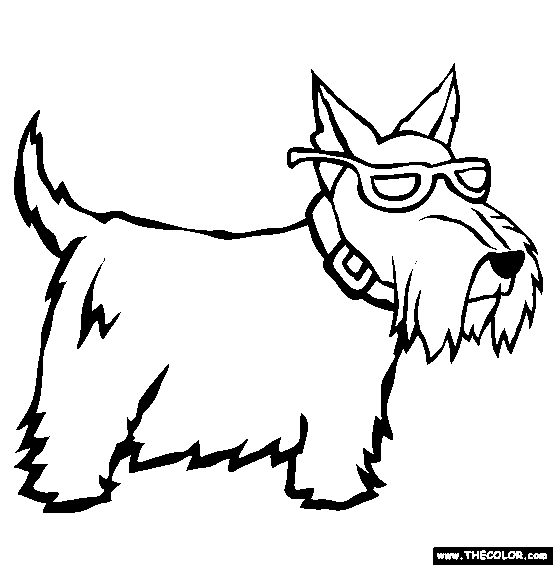 Scottish Terrier  coloring #20, Download drawings