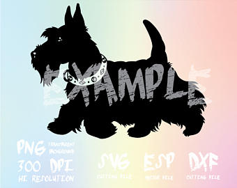 Scottish Terrier  svg #16, Download drawings