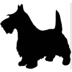 Scottish Terrier  svg #7, Download drawings