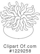 Sea Anemone clipart #13, Download drawings