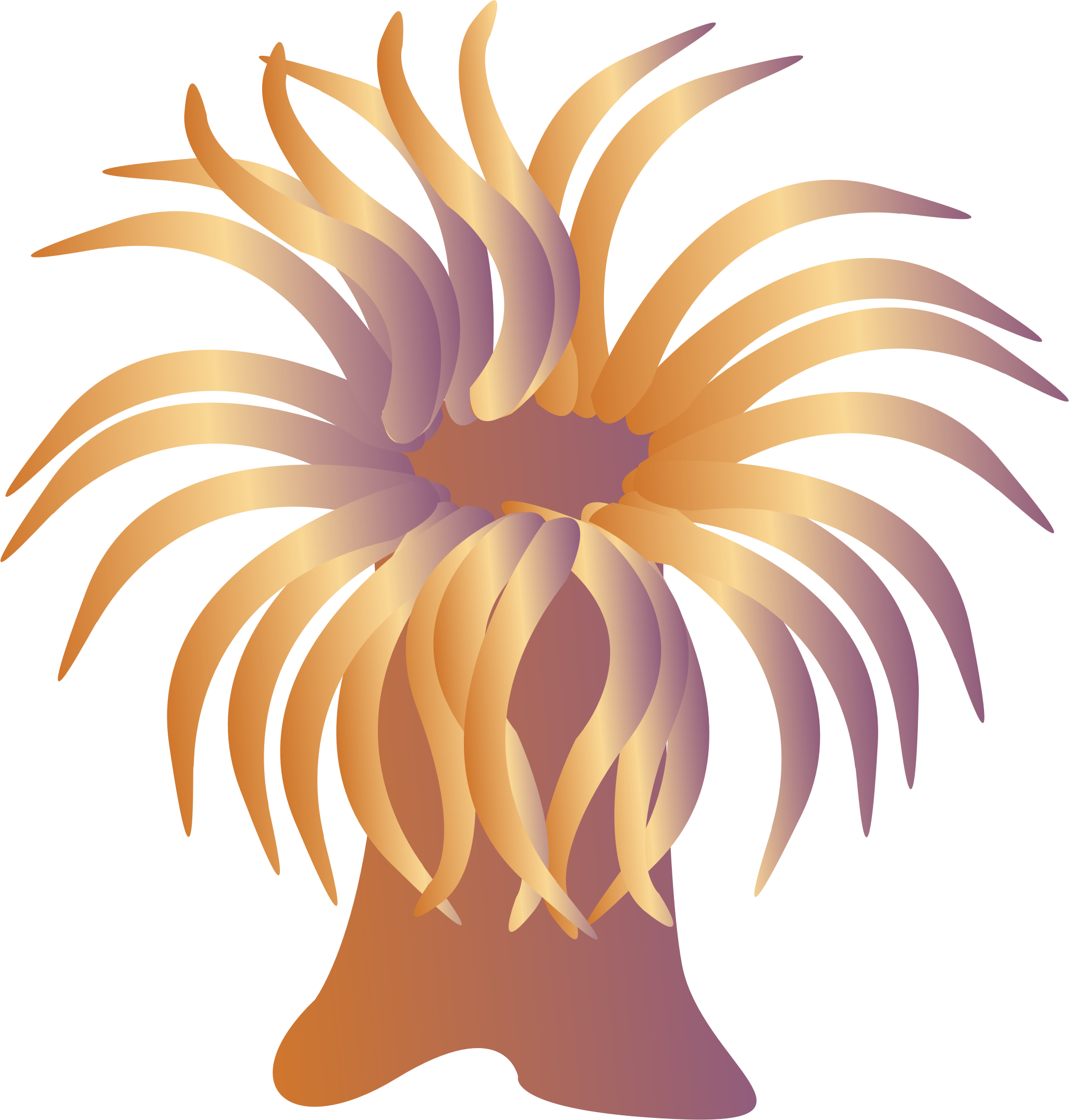 Sea Anemone clipart #15, Download drawings