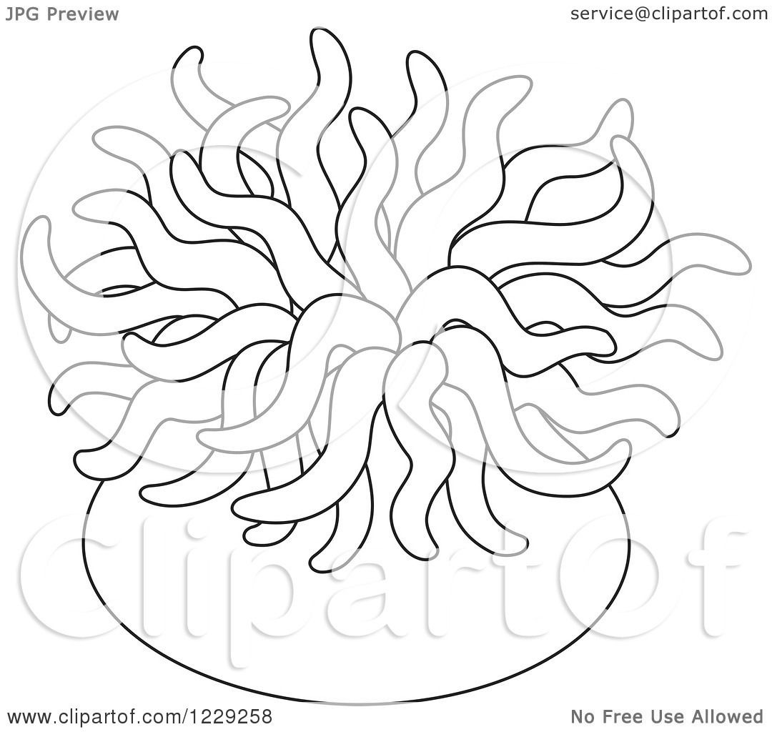Sea Anemone clipart #5, Download drawings