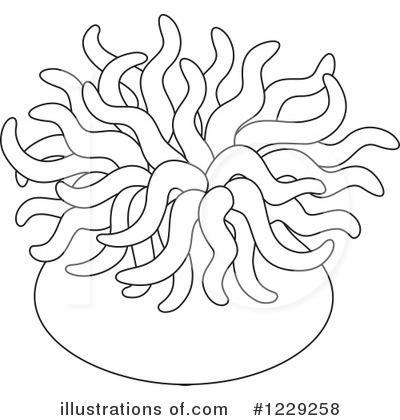 Sea Anemone coloring #3, Download drawings