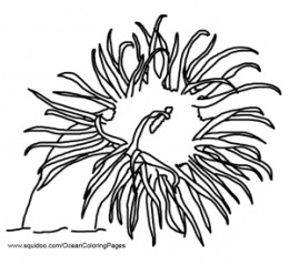 Sea Anemone coloring #17, Download drawings