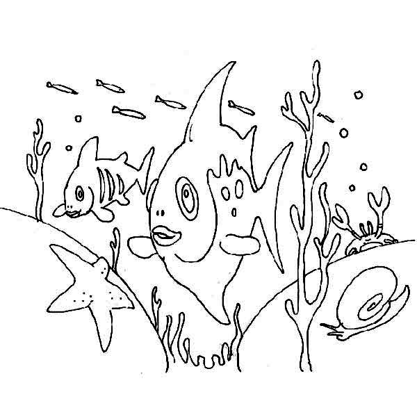 Sea Bed coloring #20, Download drawings
