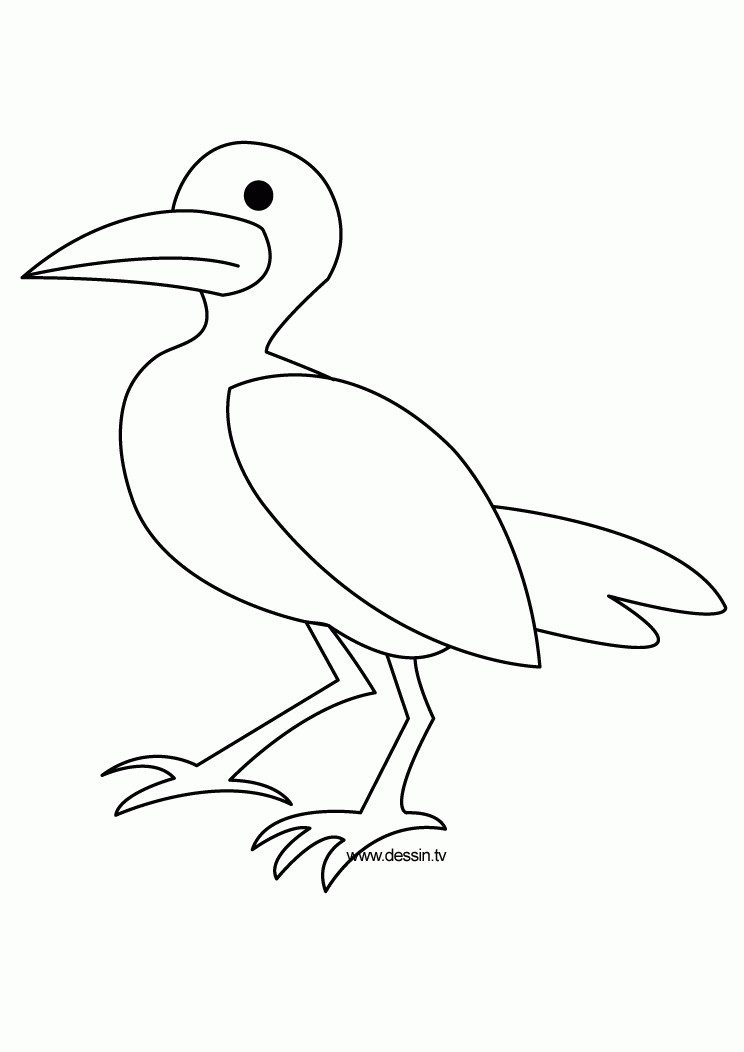 Sea Bird coloring #16, Download drawings