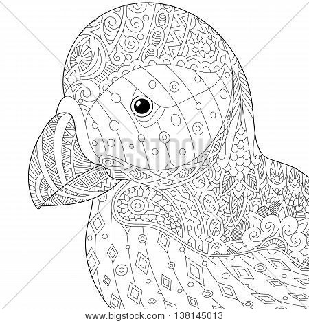 Sea Bird coloring #4, Download drawings
