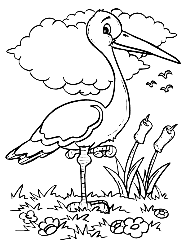 Sea Bird coloring #5, Download drawings