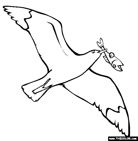 Seagull coloring #10, Download drawings