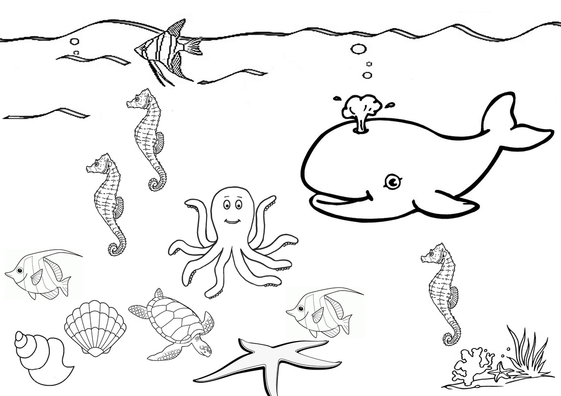 Sea coloring #9, Download drawings
