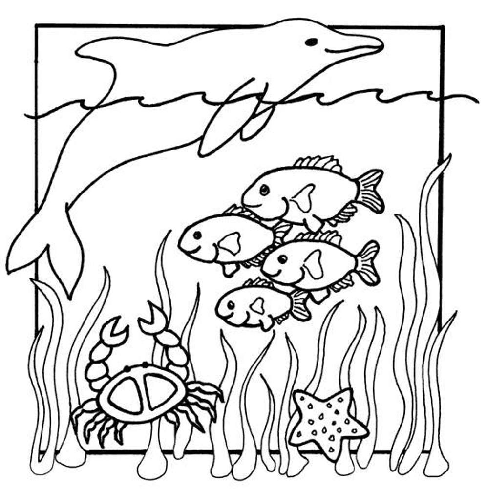 Sea Life coloring #11, Download drawings