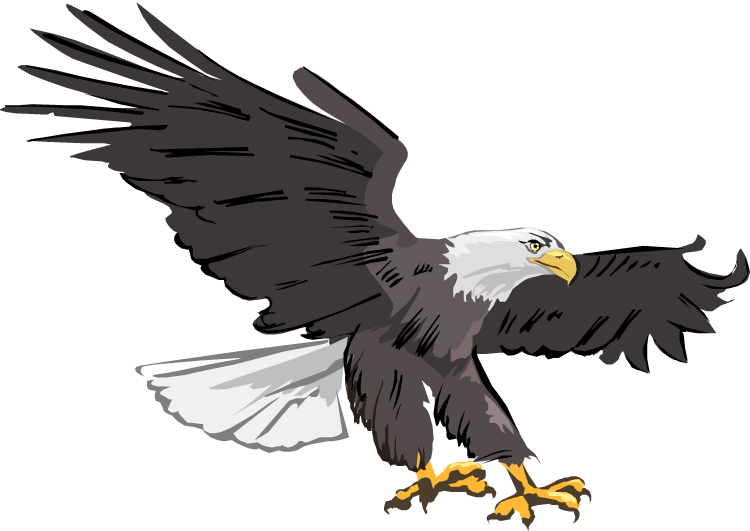 Sea Eagle clipart #20, Download drawings