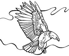 Sea Eagle coloring #6, Download drawings