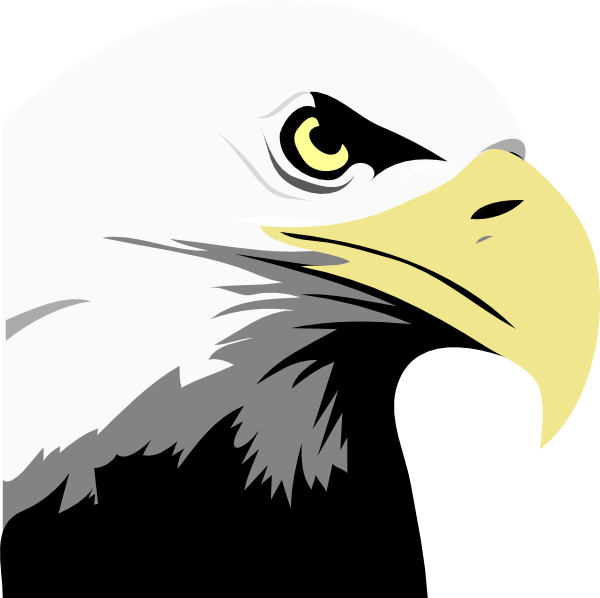 Sea Eagle svg #5, Download drawings