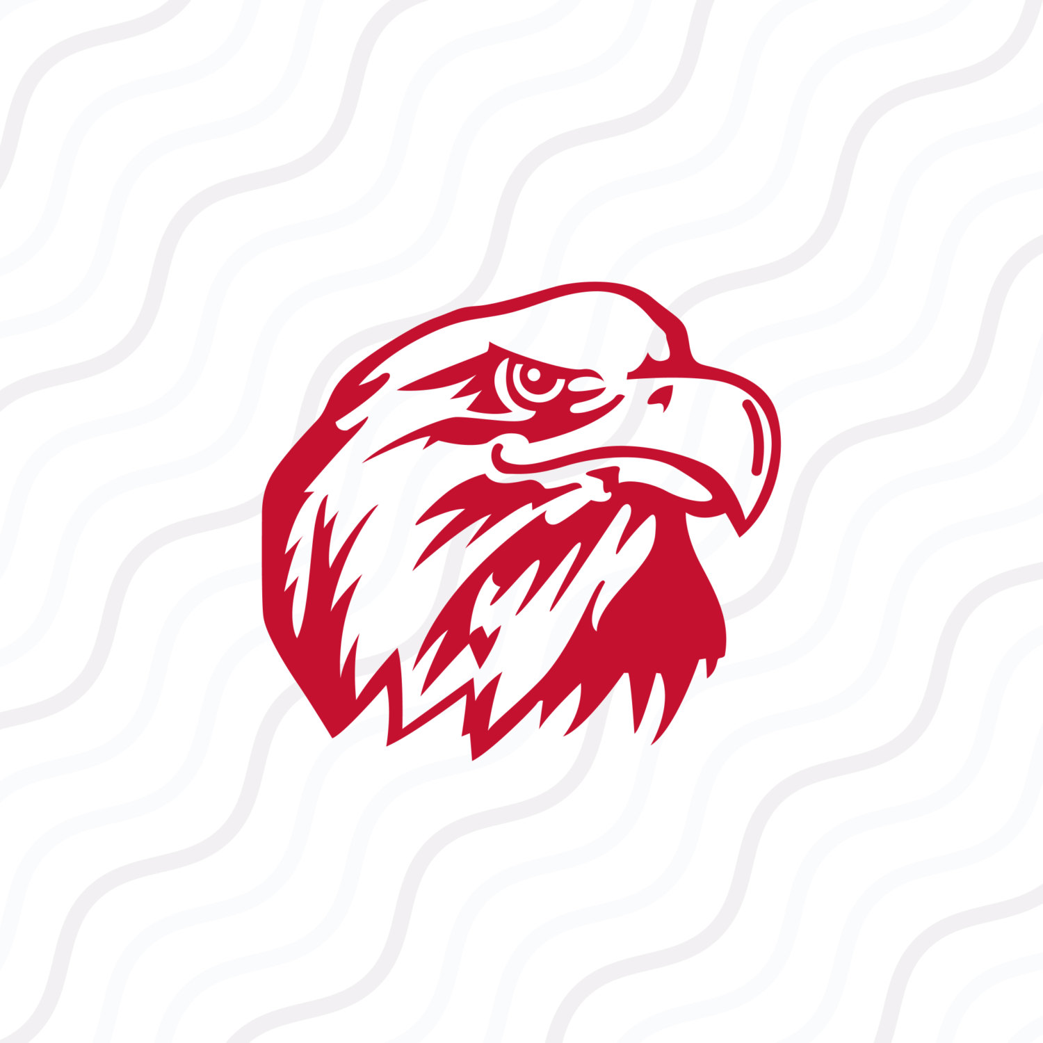 Sea Eagle svg #15, Download drawings