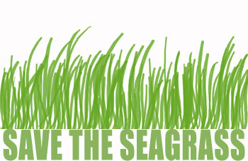 Sea Grass coloring #7, Download drawings