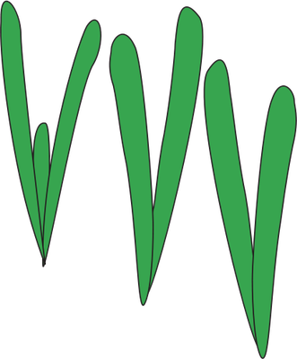 Sea Grass svg #20, Download drawings