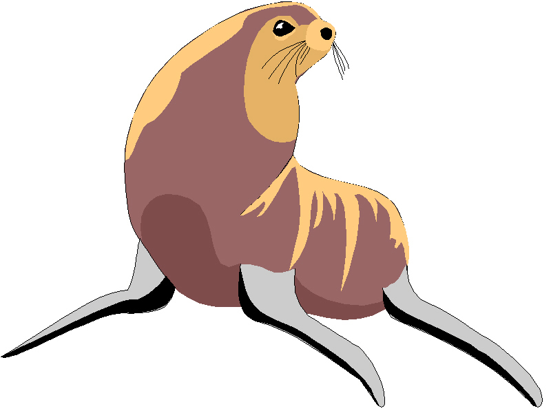 Sea Lion clipart #5, Download drawings
