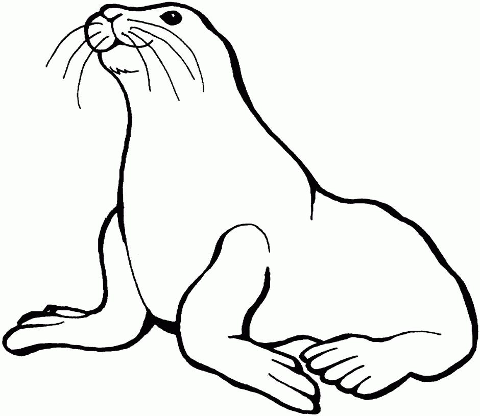 Sea Lion clipart #3, Download drawings