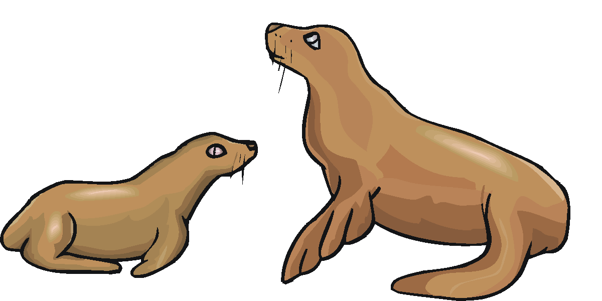 Sea Lion clipart #20, Download drawings