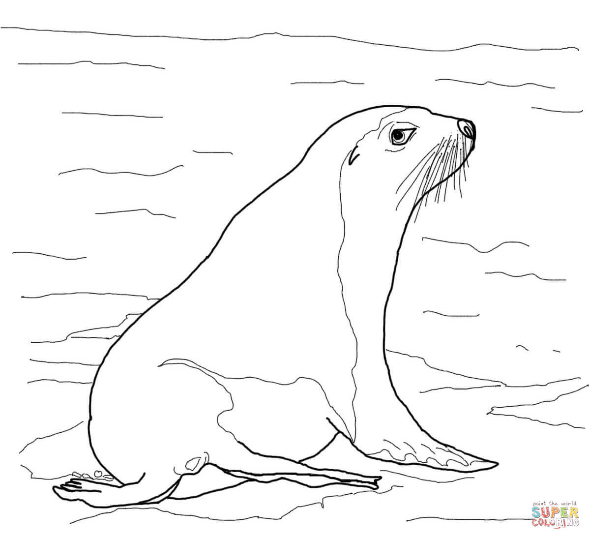 Sea Lion coloring #3, Download drawings