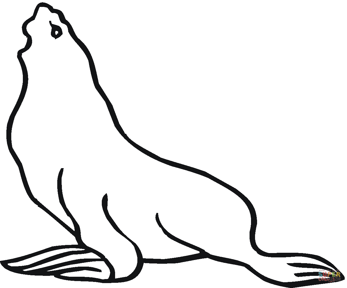 Sea Lion coloring #12, Download drawings