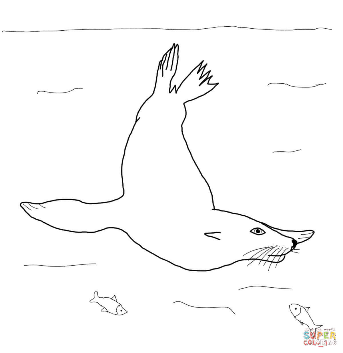 Sea Lion coloring #11, Download drawings