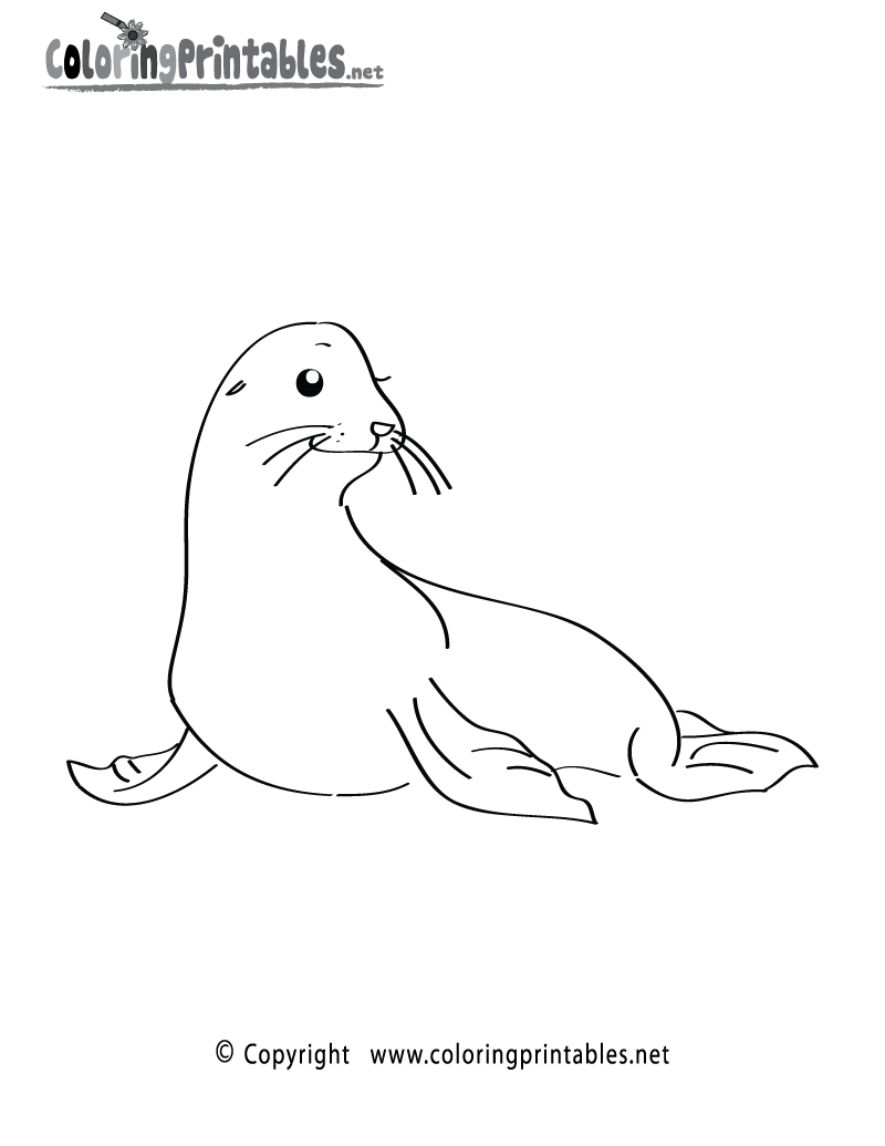 Sea Lion coloring #7, Download drawings