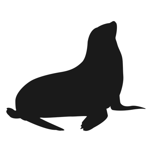 Sea Lion svg #18, Download drawings