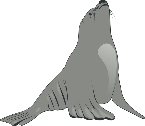 Sea Lion svg #17, Download drawings