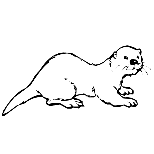 Sea Otter coloring #9, Download drawings