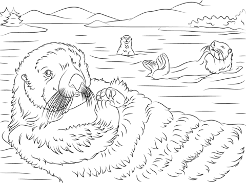 Sea Otter coloring #15, Download drawings