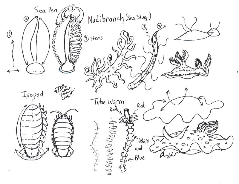 Sea Slug coloring #15, Download drawings