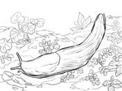 Sea Slug coloring #8, Download drawings
