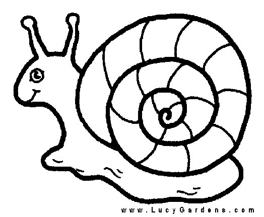 Snail coloring #18, Download drawings