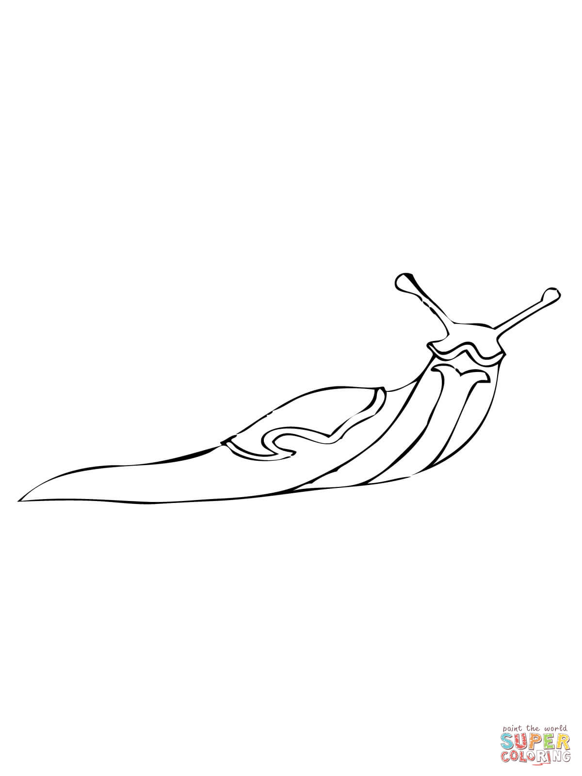 Sea Slug coloring #12, Download drawings