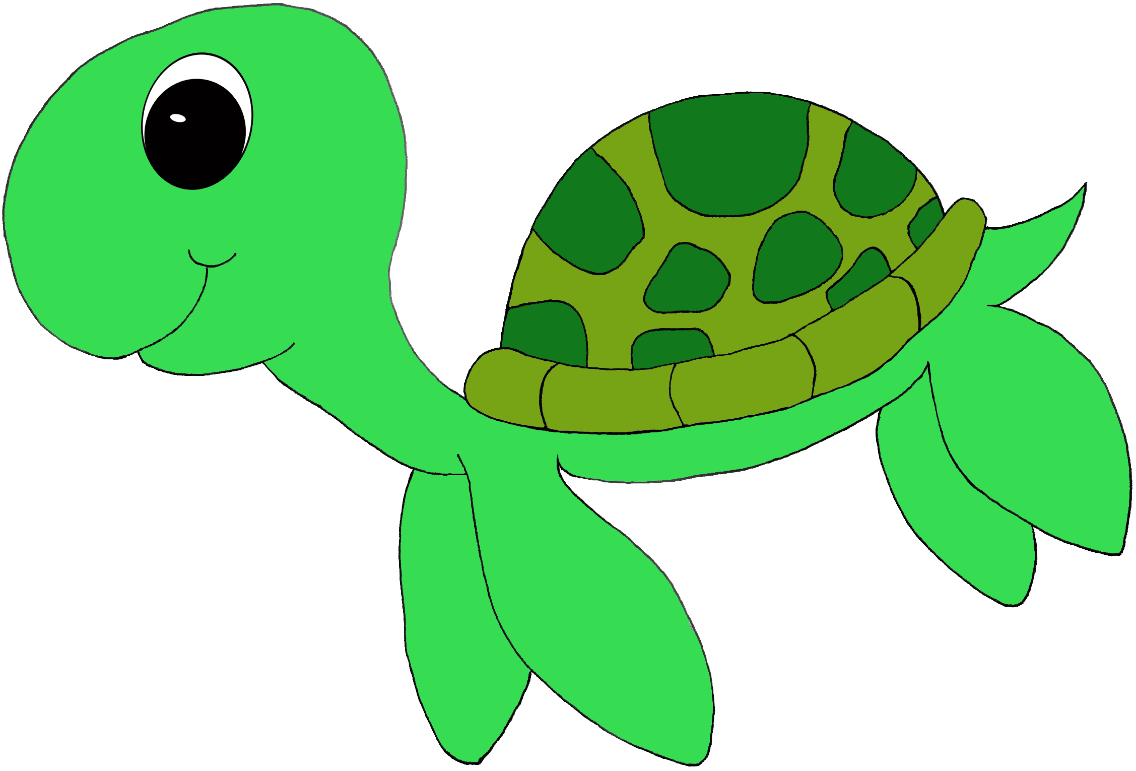 Turtle clipart #4, Download drawings